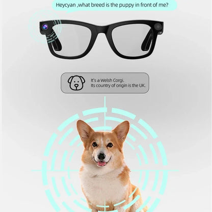 Waterproof Glasses 800W pixel Shooting Photo Video Voice AI Glasses HD 4K HD Camera Call Smart  AI Translation Bluetooth Glasses